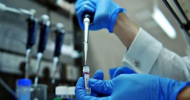 Domuz gribinden 1 kişi daha hayatını kaybetti